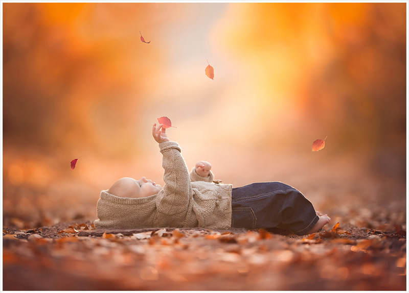 New Born and Children Portrait Photography by Lisa Holloway