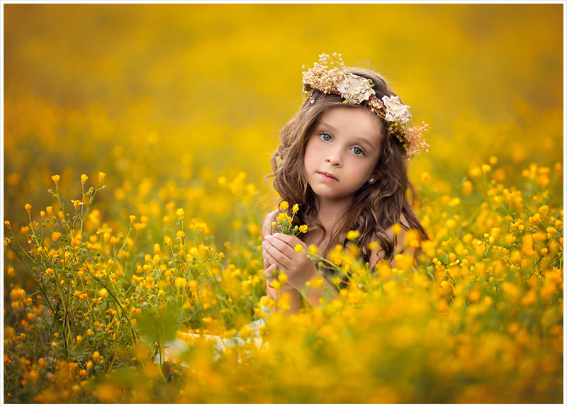 New Born and Children Portrait Photography by Lisa Holloway