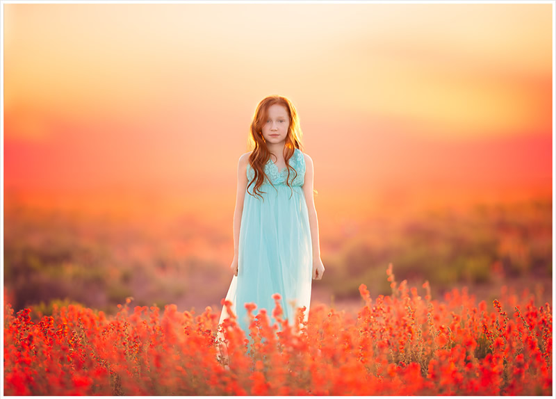 New Born and Children Portrait Photography by Lisa Holloway