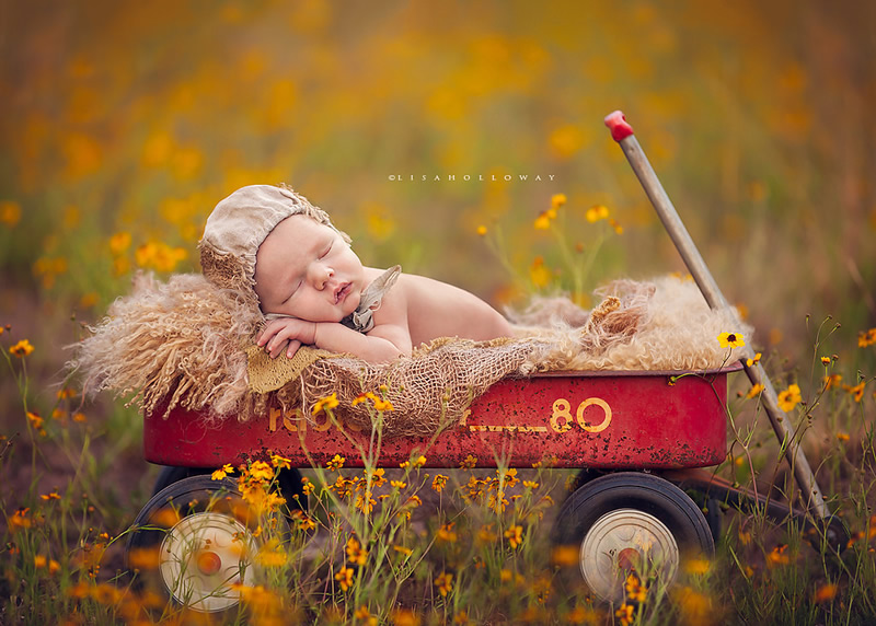 New Born and Children Portrait Photography by Lisa Holloway