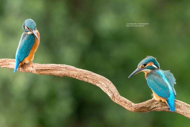 Mesmerizing Nature Photography by Luuk Belgers