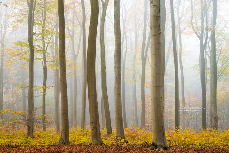 Mesmerizing Nature Photography by Luuk Belgers