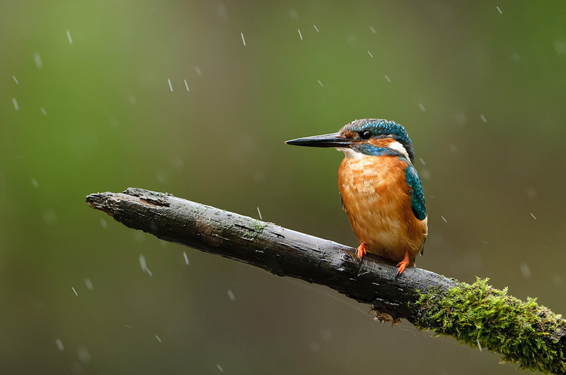 Mesmerizing Nature Photography by Luuk Belgers