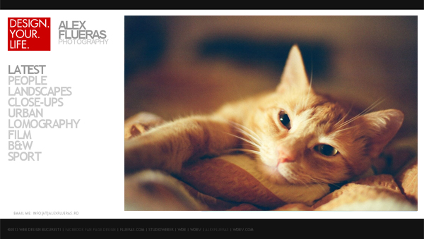 5 Simple Usability Tips to Grow Your Photo Website Traffic