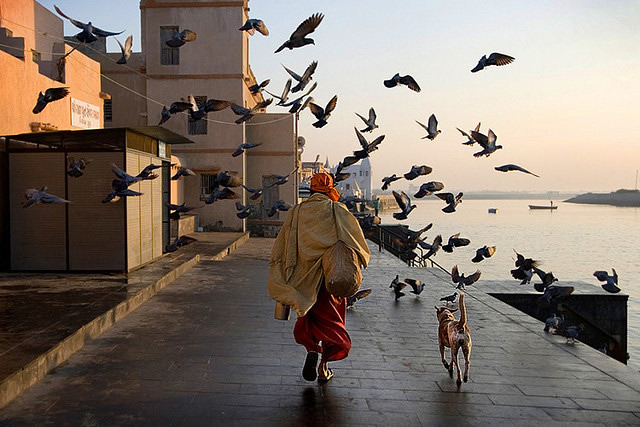 50 Extraordinary Photographs that can happen only in India