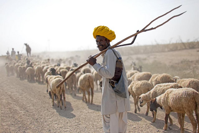 50 Extraordinary Photographs that can happen only in India