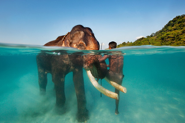 50 Extraordinary Photographs that can happen only in India