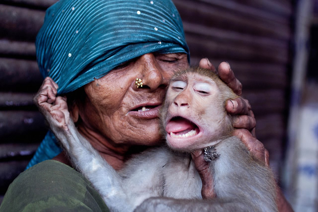 50 Extraordinary Photographs that can happen only in India