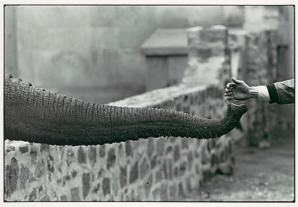 Great Black and White Photos from Masters of Photography