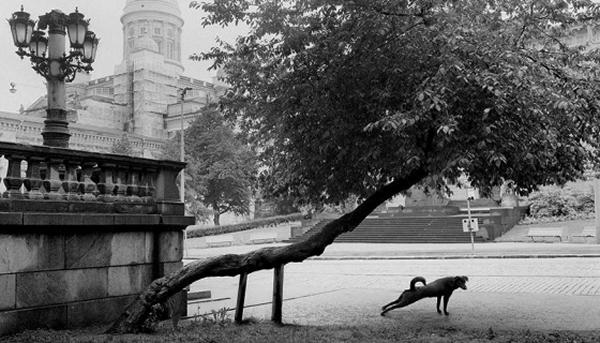 Great Black And White Photographs From The Masters Of Photography