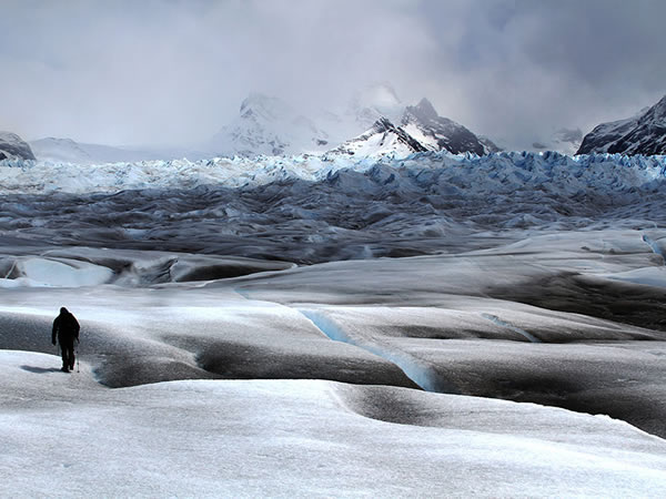 1st Place - 2014 Photographer of the Year