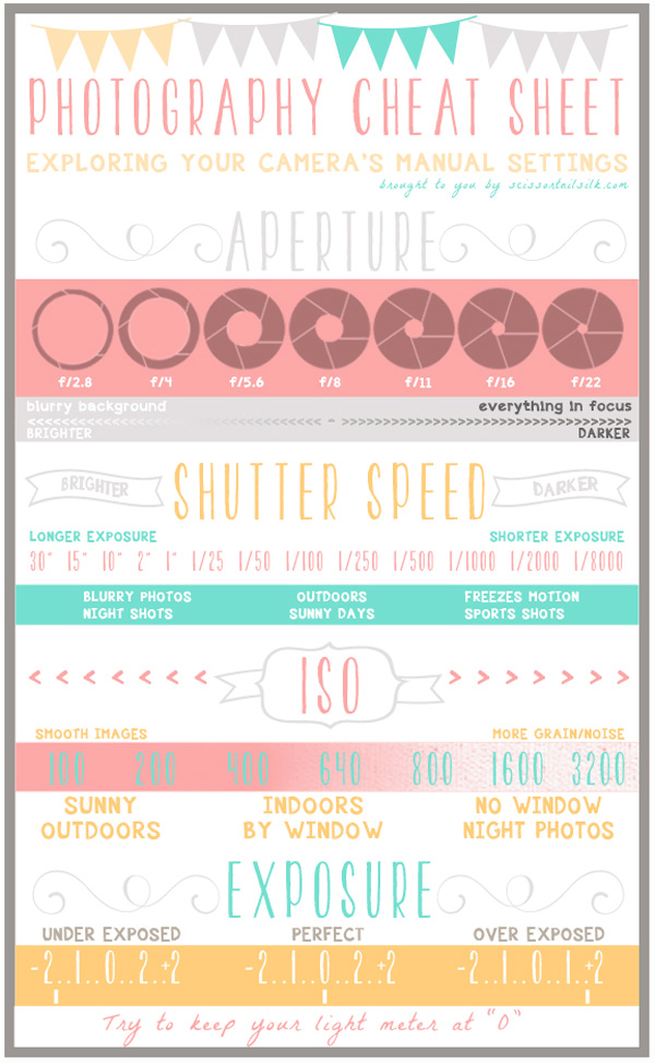 Exploring Your Camera's Manual Settings 