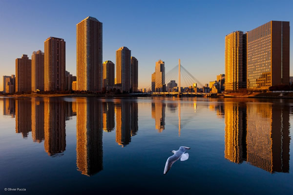 'View of Tokyo' by Olivier Puccia