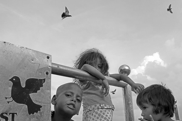 Birds in Street Photography