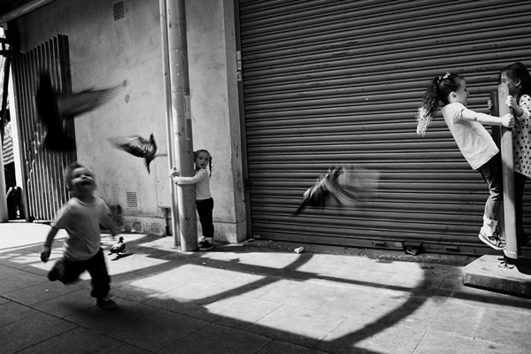 Birds in Street Photography