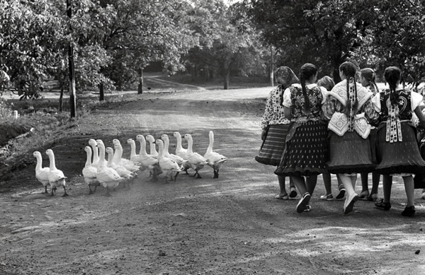 Great Black And White Photographs From The Masters Of Photography