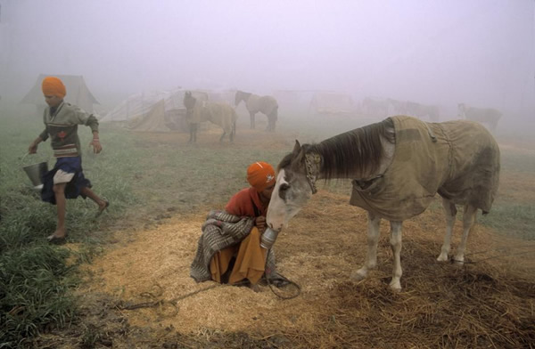 50 Great Color Photographs From The Masters Of Photography