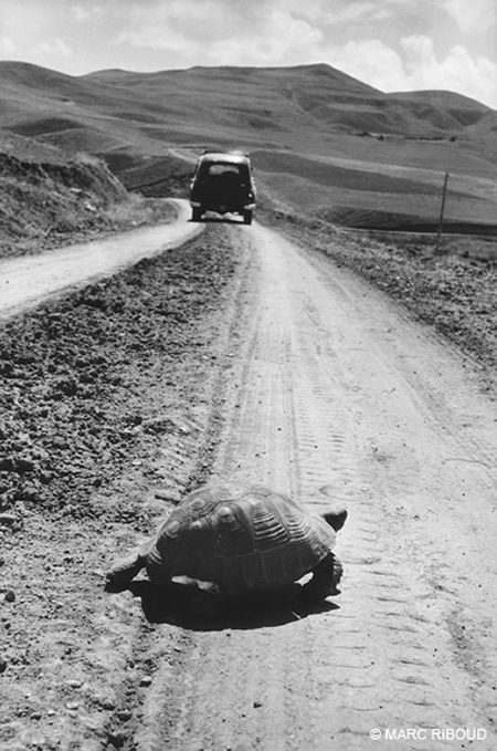 Marc Riboud - Inspiration from Masters of Photography