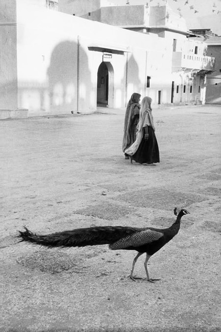 Marc Riboud - Inspiration from Masters of Photography