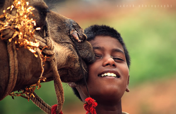 50 Extraordinary Photographs that can happen only in India