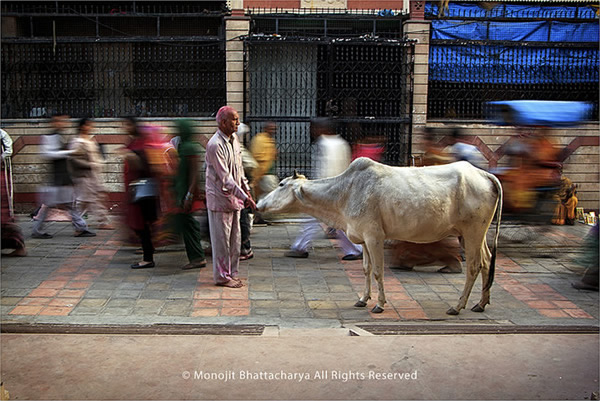 50 Extraordinary Photographs that can happen only in India