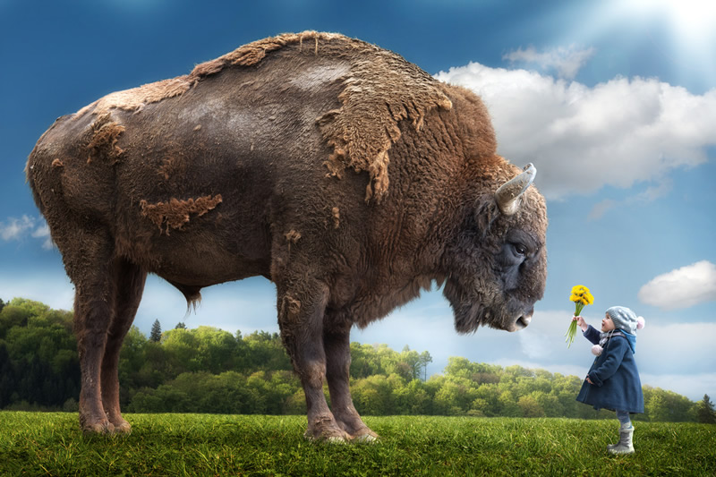 Most Creative Photo Manipulations by John Wilhelm