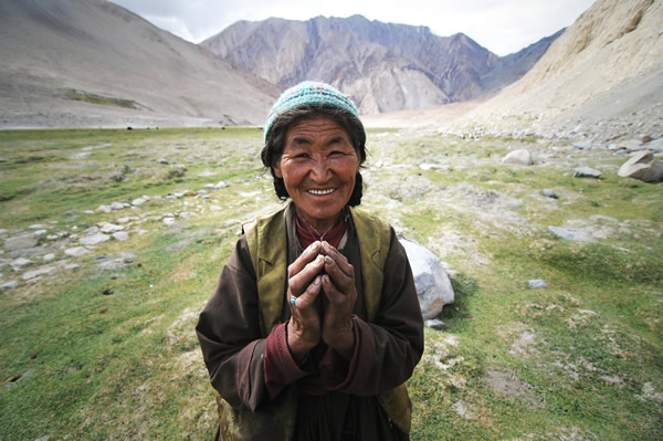 ladakhi shepherd