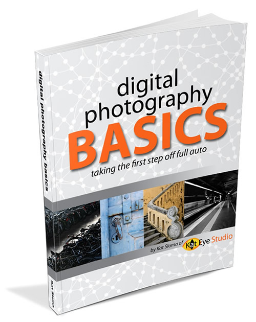 Digital Photography Basics