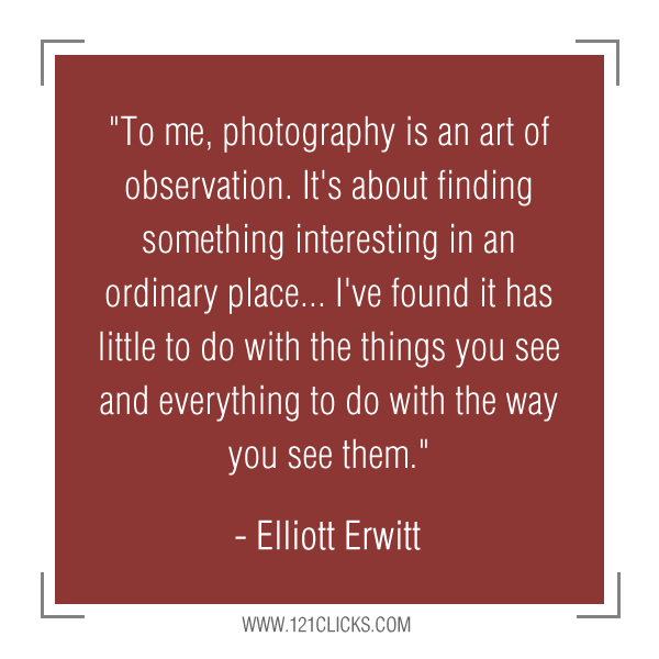 Inspiring Photography Quotes from Master Photographer Elliott Erwitt 