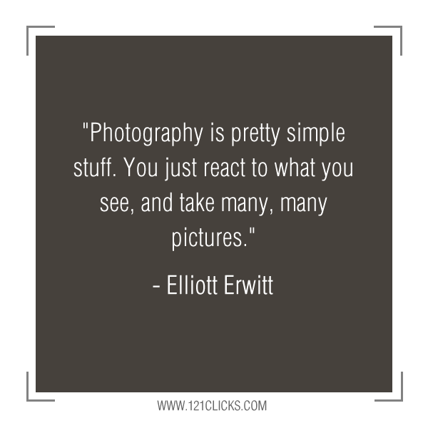 Inspiring Photography Quotes from Master Photographer Elliott Erwitt 