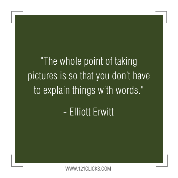 Inspiring Photography Quotes from Master Photographer Elliott Erwitt 