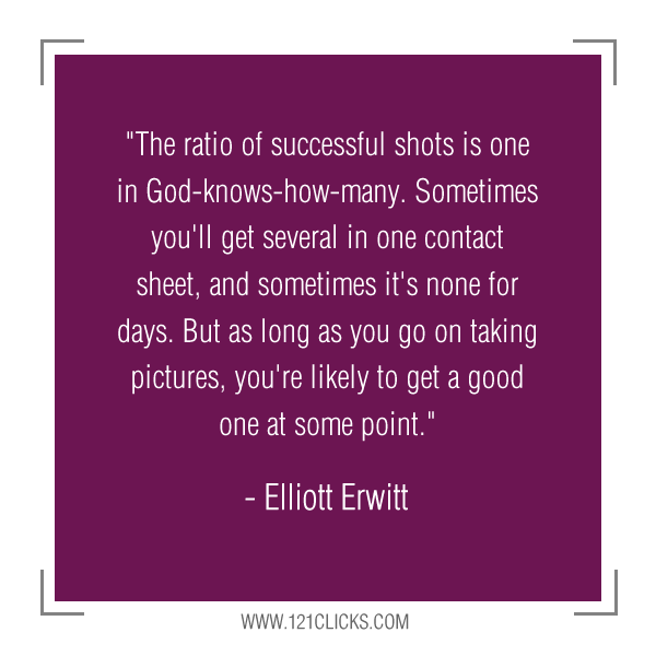 Inspiring Photography Quotes from Master Photographer Elliott Erwitt 