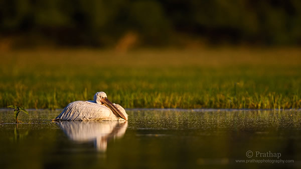 Photography Composition Technique #1: Rule of Thirds