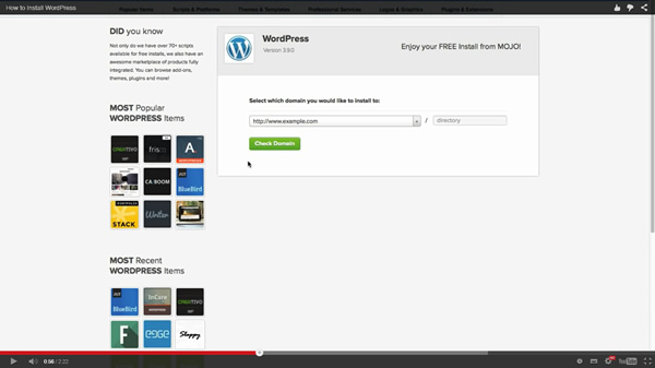 Install WordPress