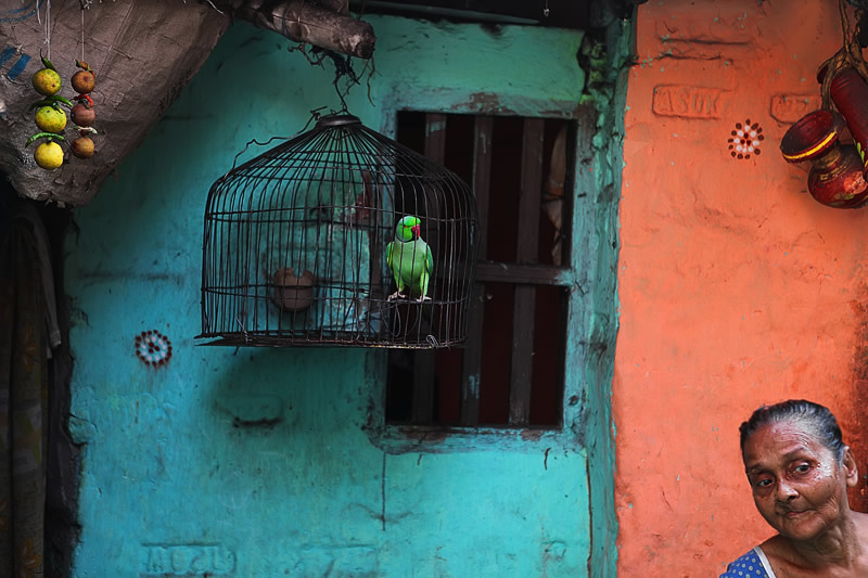 Bangladesh Photographer Pronov Ghosh Captures The Soulful Portraits of Cultural People 