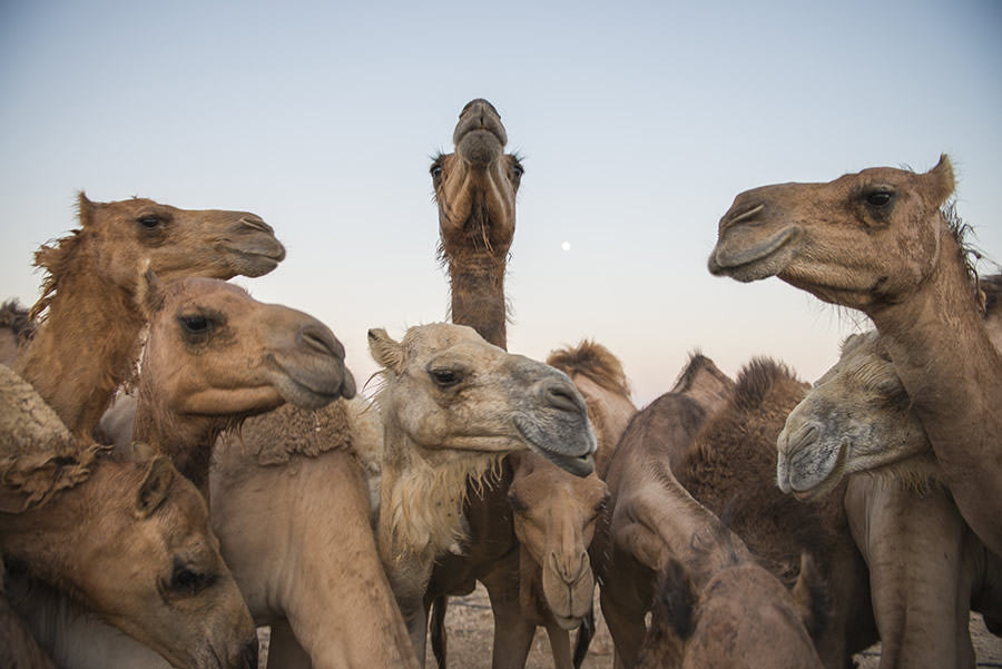 Outstanding Photos by Indian Travel Photographer Aman Chotani 