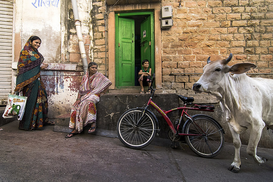 Incredible Photos of Indian Photographer Rajagopalan Sarangapani