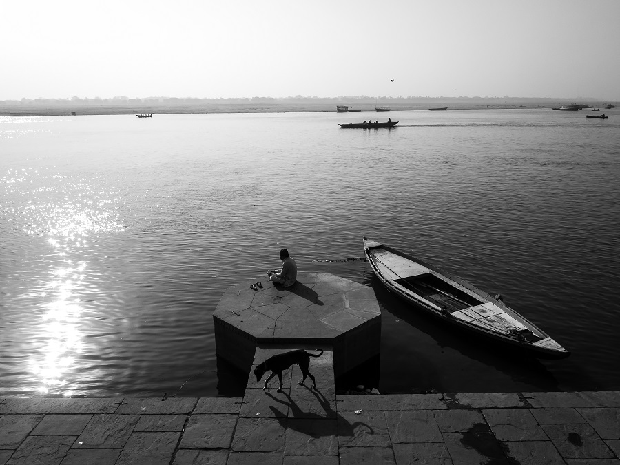 Dog Story - Photo Series By Indian Photographer Neenad Arul