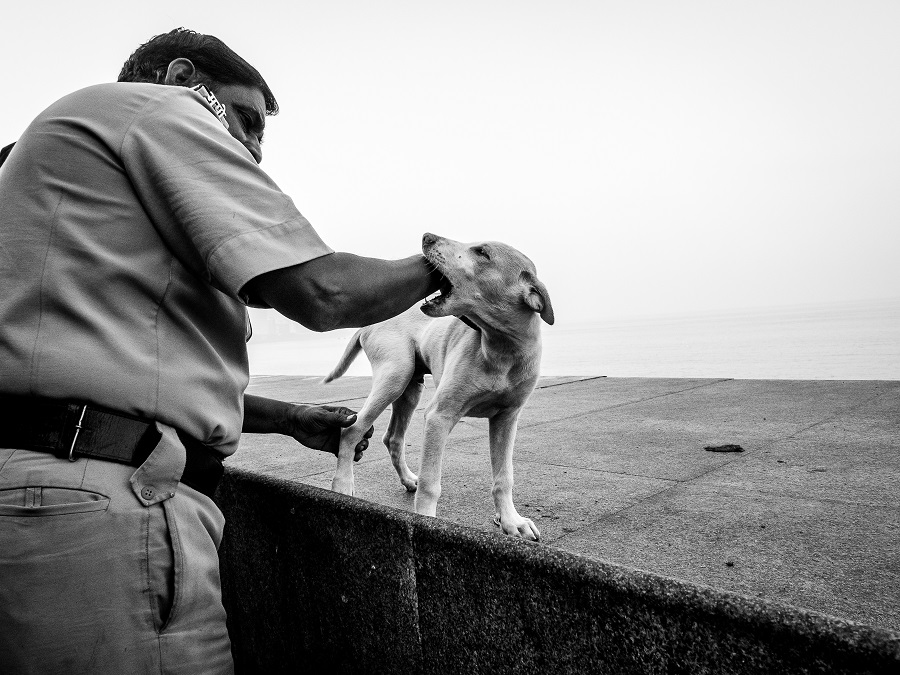 Dog Story - Photo Series By Indian Photographer Neenad Arul