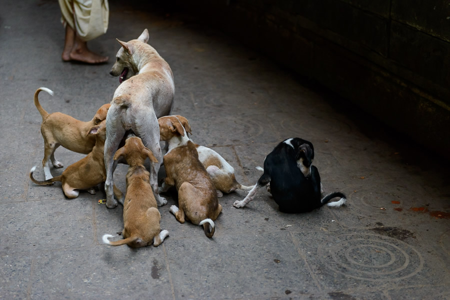 This Is NOT Varanasi - Photo Story By Sudarshan Mondal