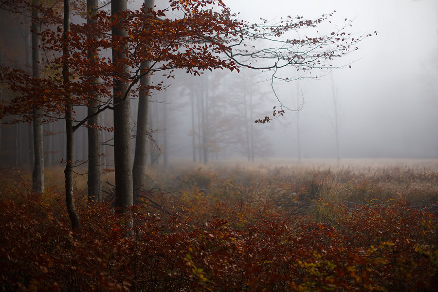 Wolfgang Schrittwieser - Passionate Nature And Landscape Photographer From Austria