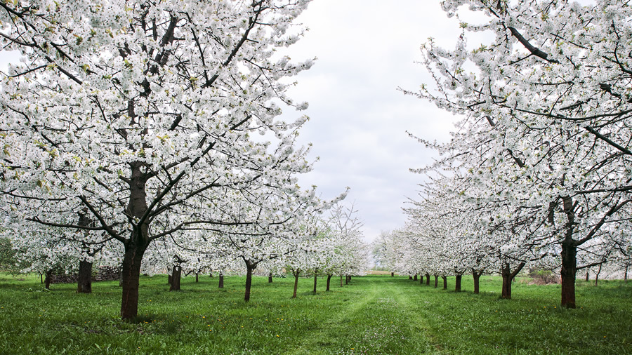 Beautiful Landscape Photography By German Photographer Steffen Egly