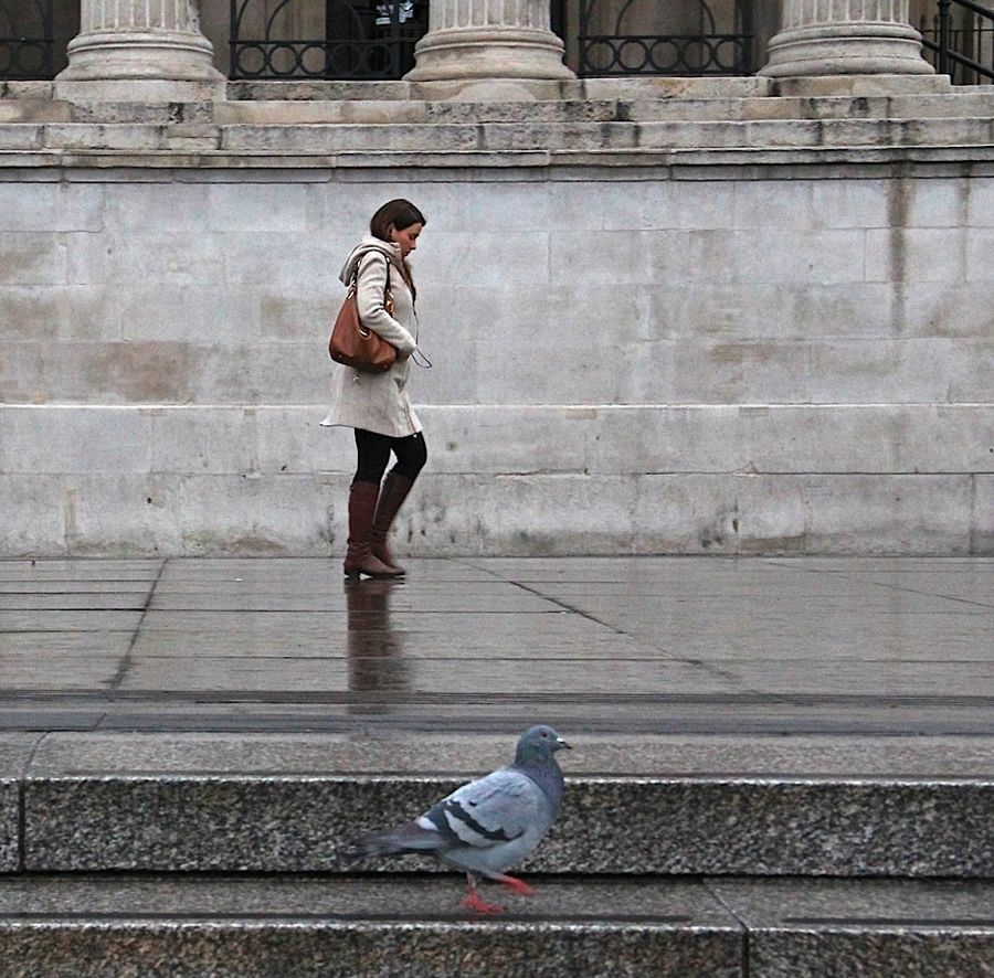 Aniruddha Guha Sarkar - Street Photographer From India