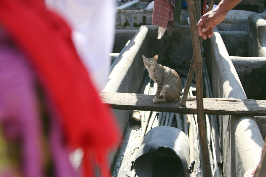 Dhobighat Diaries - Photo Series by Utkarsh Chaturvedi