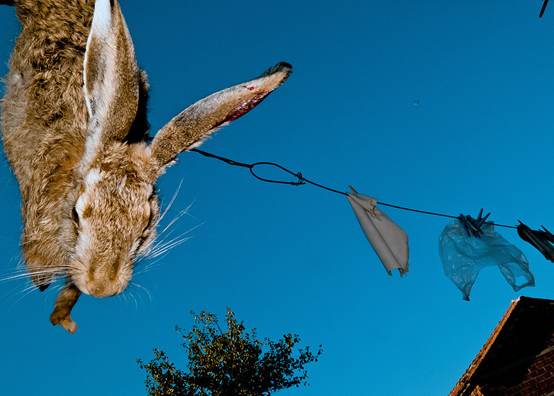 Giorgos Kasapidis - Greece Street Photographer