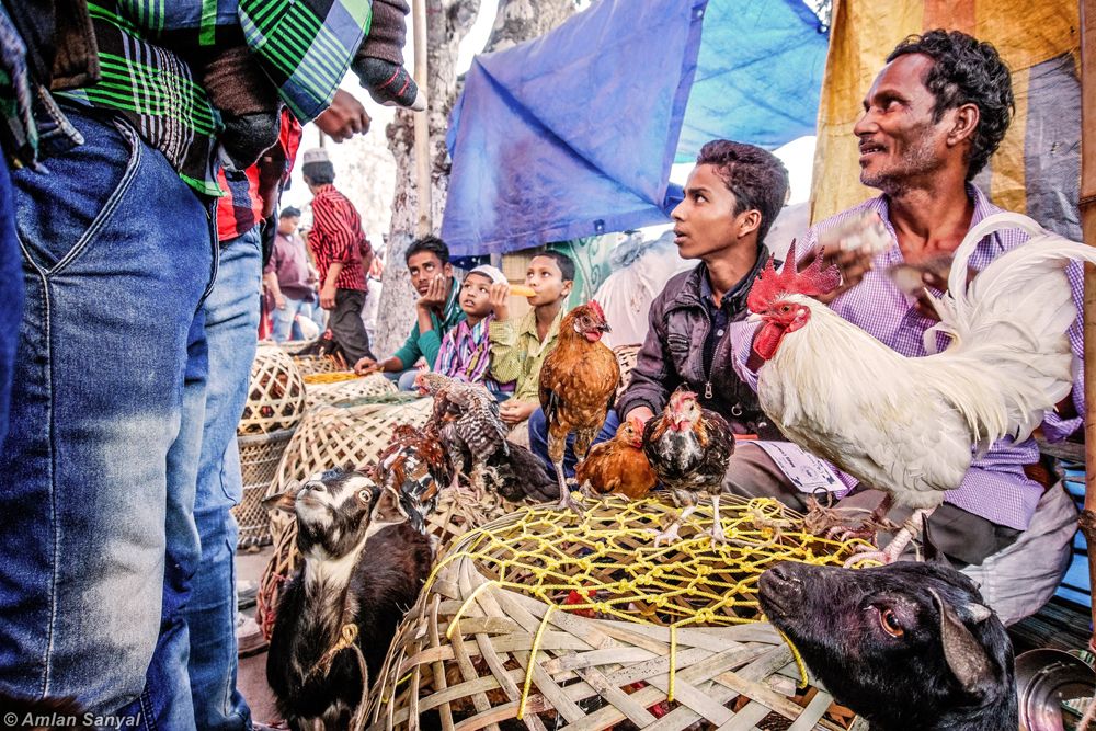 Fair And A Bond At The Border - Photo Series By Amlan Sanyal