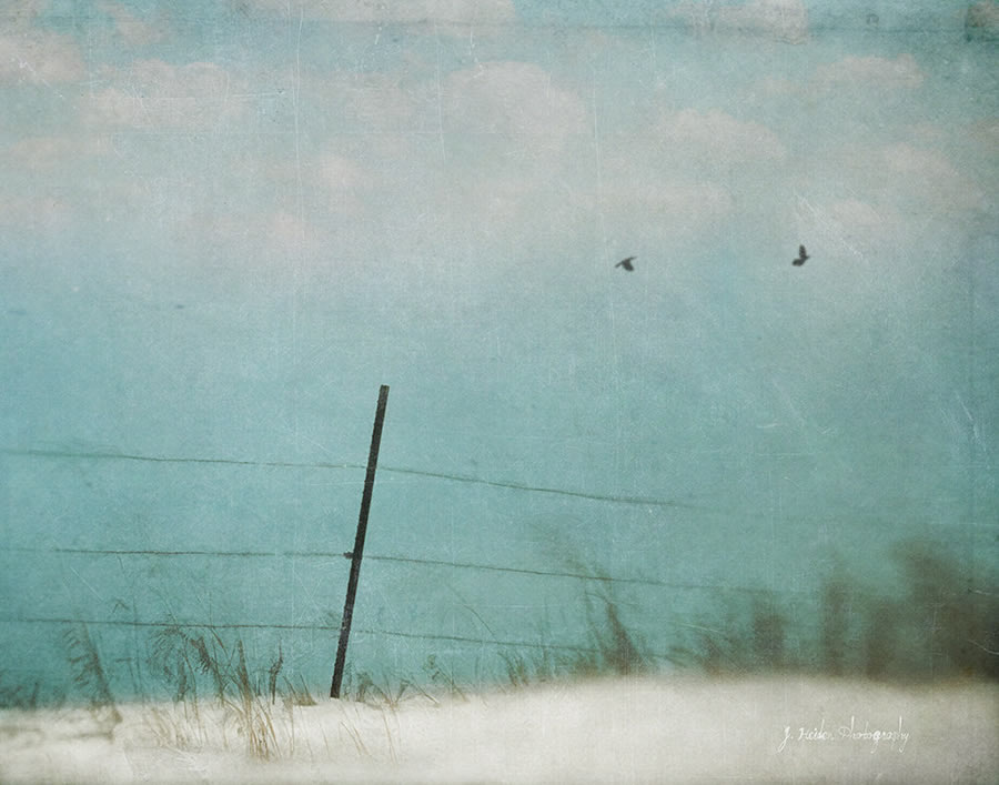 Jamie Heiden - Artistic Photography 