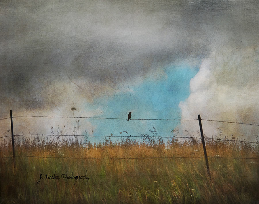 Jamie Heiden - Artistic Photography 