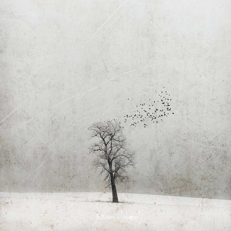 Jamie Heiden - Artistic Photography 