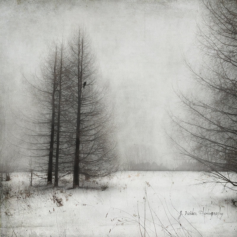 Jamie Heiden - Artistic Photography 